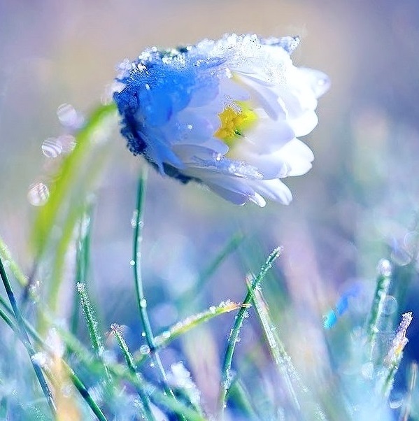 Addy Ice Angel tweet media