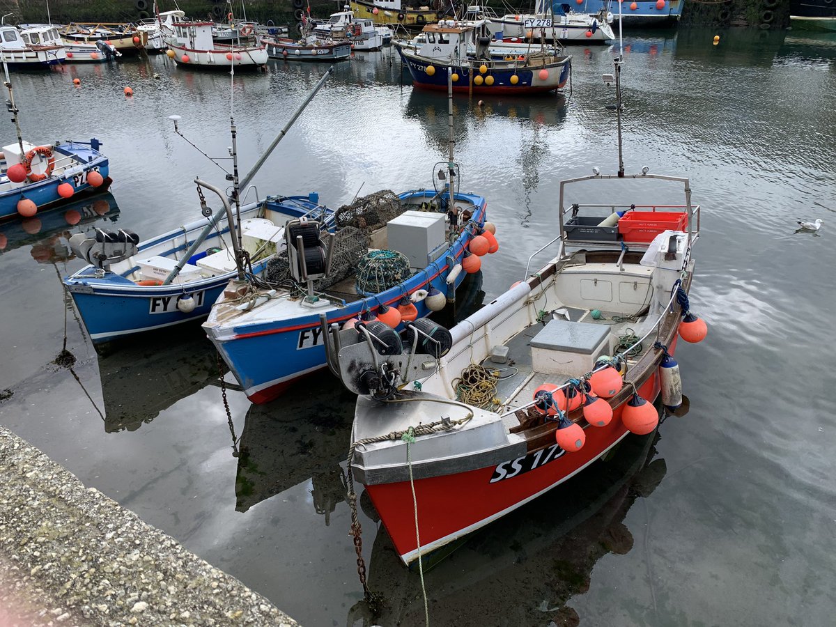 DanielJPhelan_'s tweet photo. Our #walk today started at #Mevagissy a very scenic fishing harbour on the #SouthWestCoastPath… 🥾 https://t.co/MD0Z6quz7d