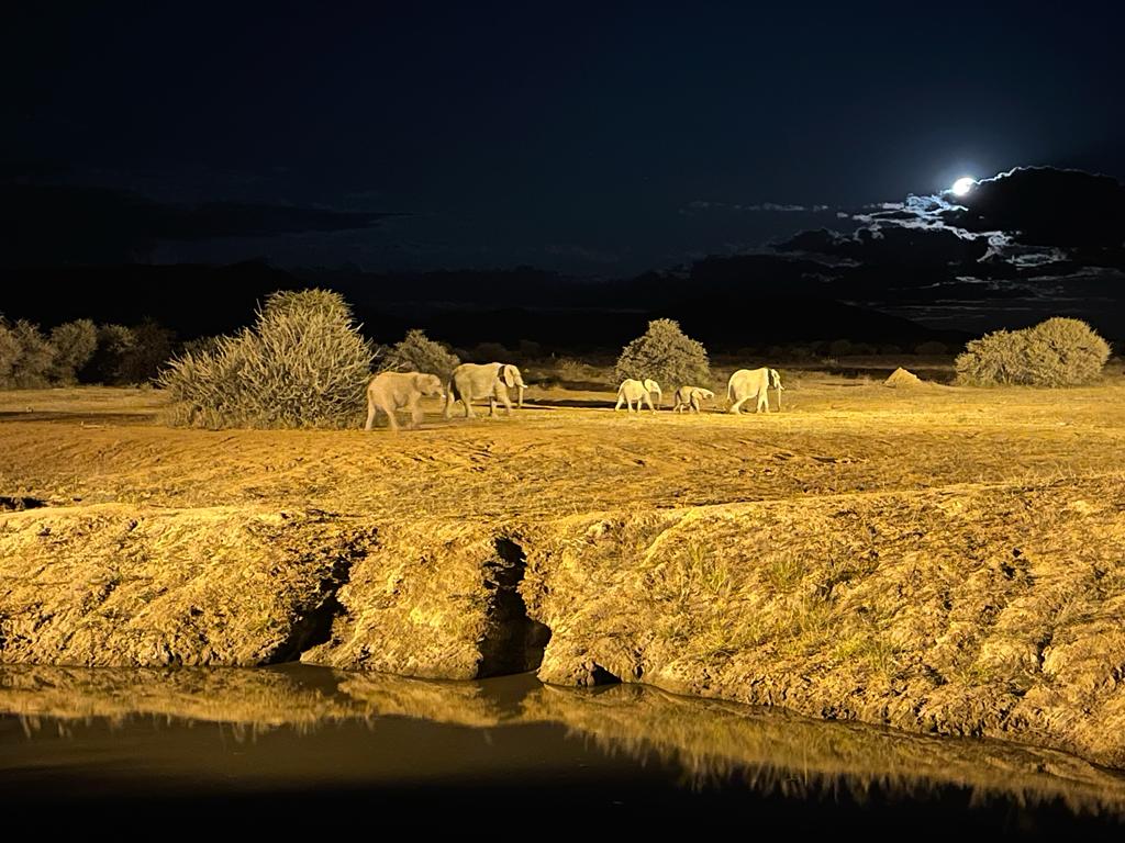 La photo qui gagne prise il y a qlqs minutes à Erindi Game Reserve / Namibie 👍
Credit <a href="/Bertrand/">︻╦╤─</a> Gros 🥰