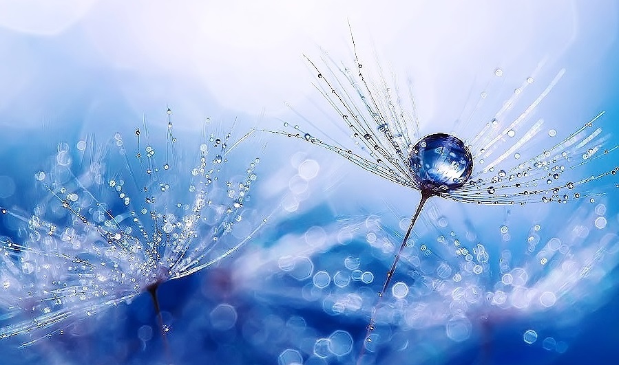 "The bad news is... time flies.
The good news is... you're the pilot."
   ~ Michael Altshuler ~