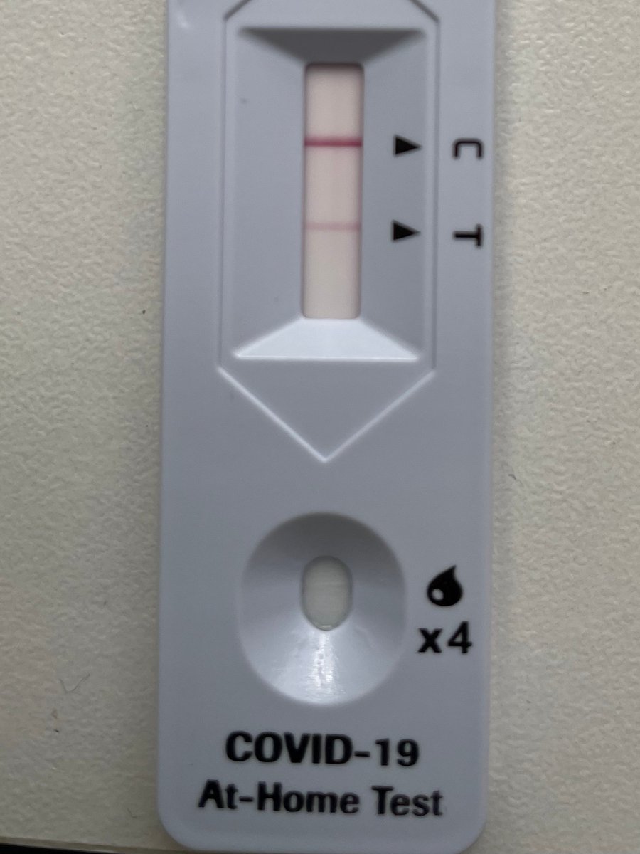 morethanmySLE's tweet photo. Bad news: I tested + for #COVID19 I had several symptoms, but no fever. My primary doctor sent me #Paxlovid (5 days worth) &amp; I began it today. I'm a bit scared but I'm under the BEST possible care. My Lupus flare left my immune system vulnerable. But I will fight &amp; NEVER GIVE UP! https://t.co/1pMYZJ25p8