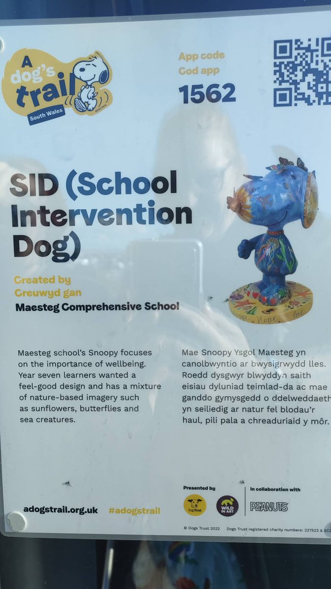 KatyGibsonWales's tweet photo. Decided to start the snoopy trail and finally found @MaestegSchool Sid 🐕. He's blooming fab 🤩 well done everyone #adogstrail #snoopy #porthcawl @maesteg_drama https://t.co/5MTtiShnWa