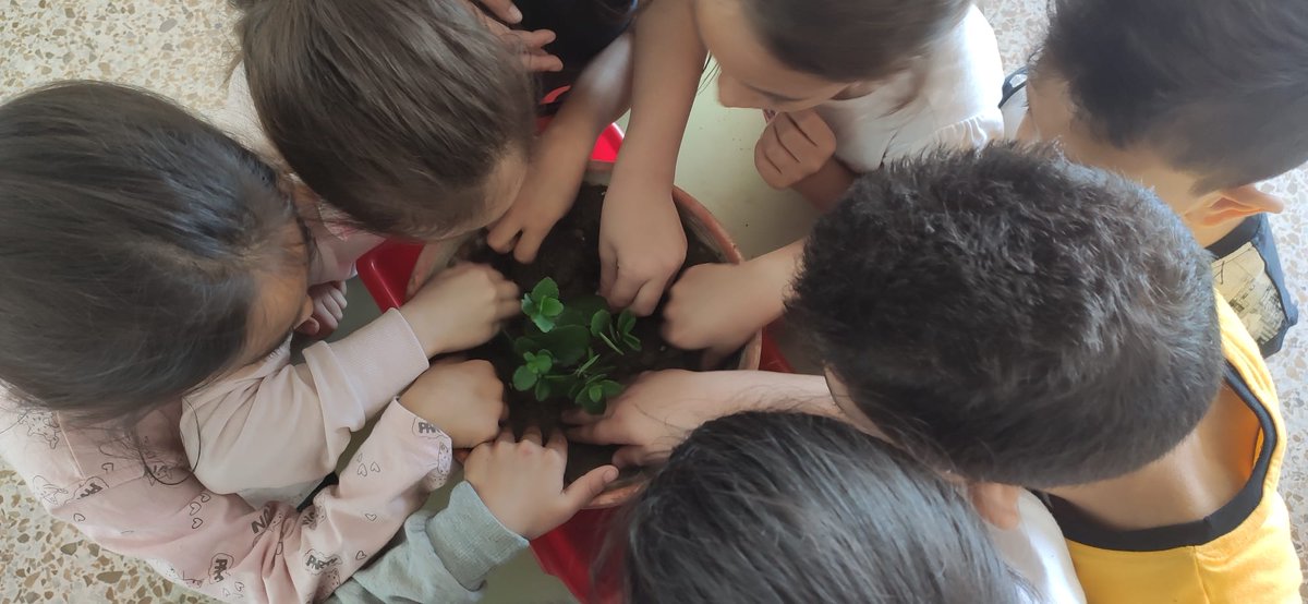 ceip_x's tweet photo. Renaturalización de los patios: plantaciones y casas para pájaros. 
@medioambiente😊 https://t.co/ceOCZVTVks