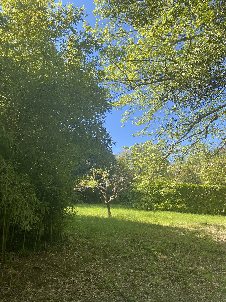 J’invoque la simplicité 
#MondayMotivation