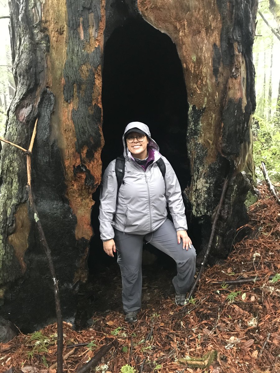 Alycia Ellington tweet media