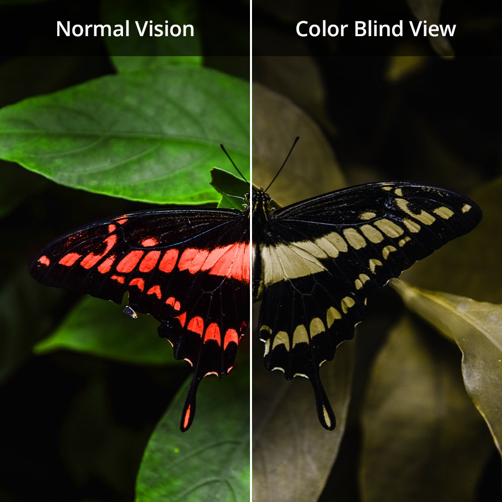 EnChroma tweet media