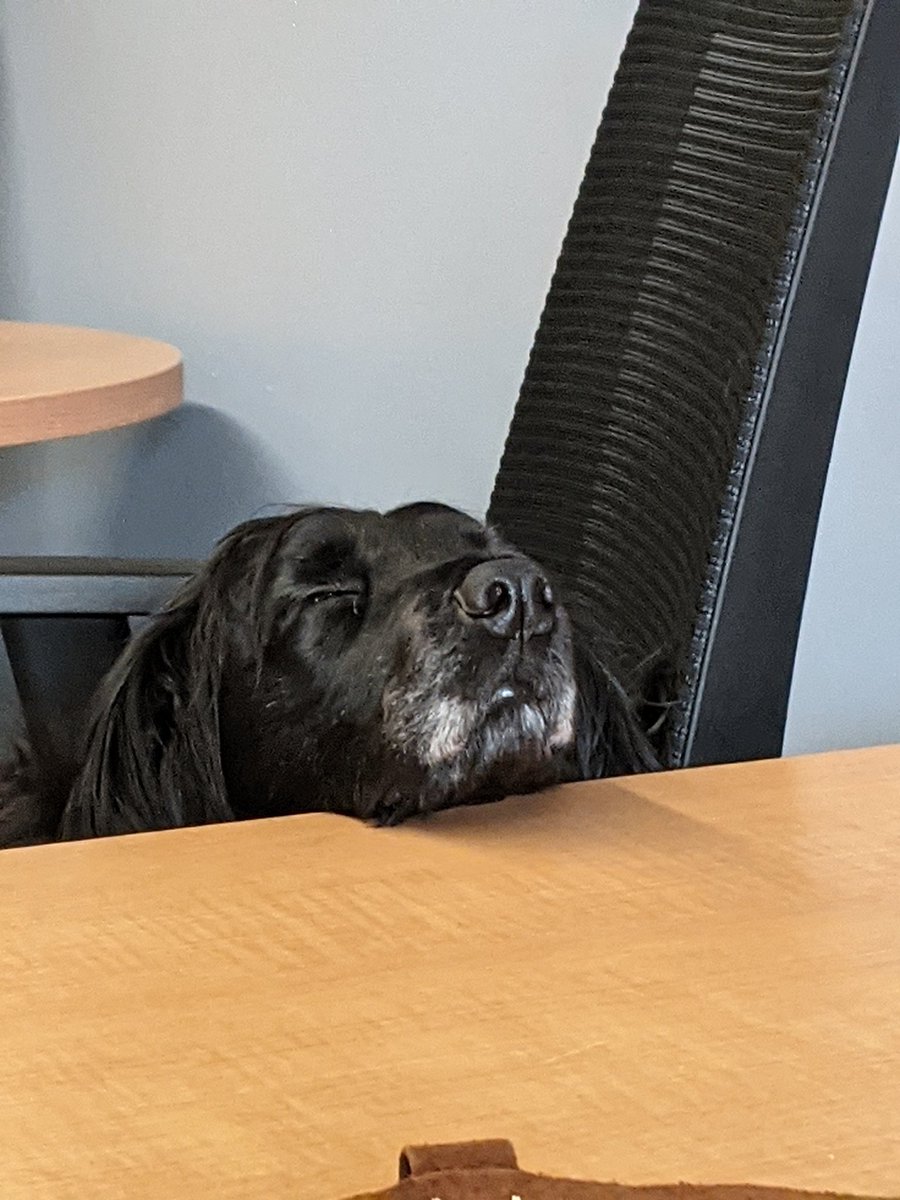 "I want to fall asleep in the chair, but I want to keep an eye on you in case you leave."