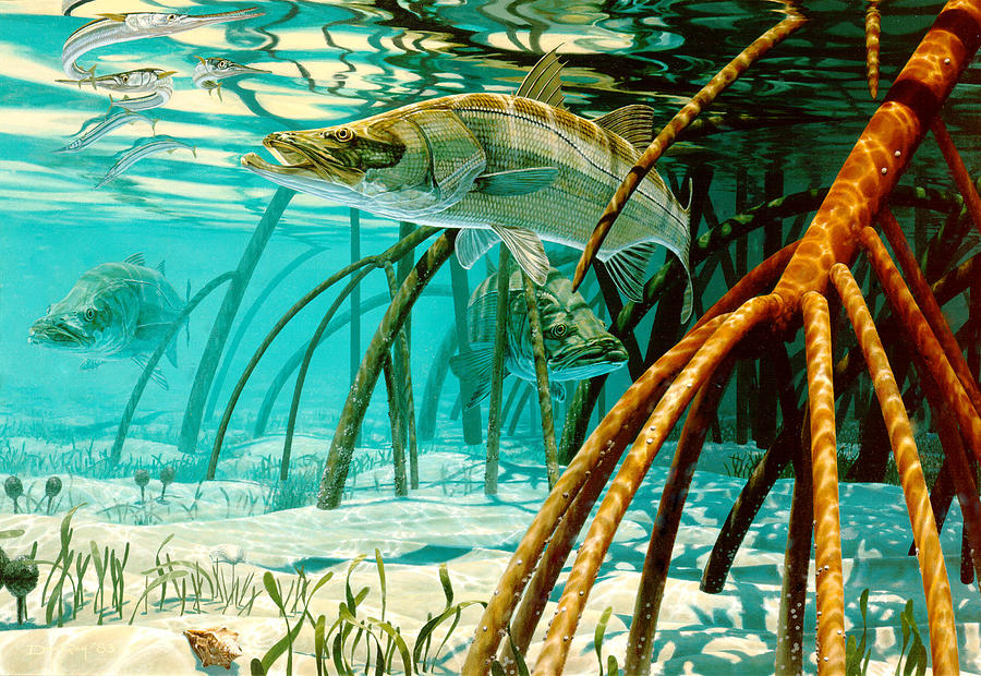 Spacetrash80's tweet image. #LillyFinance is like the "soapfish" of crypto right now. 
The "soapfish" used to be plentiful and disregarded as a useless fish... Today We Call this a SLOT SNOOK BABY!     

#Lillytoken ✨✨✨

#LillyFoundation ✨✨✨

Snook In The Mangroves Painting by Don Ray