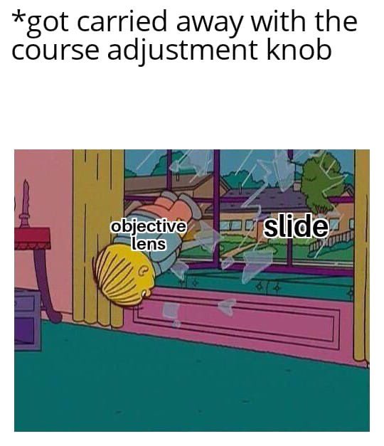 VUCellImaging's tweet photo. Looking through old folders with images shared from users and found a folder labeled "funny". Here is what I found. #FunnyNotFunny #MicroscopyMonday #MicroscopyMemes #CoreFacilityLife ๐ฌ๐ช๐จ https://t.co/j1mLX2DMLP