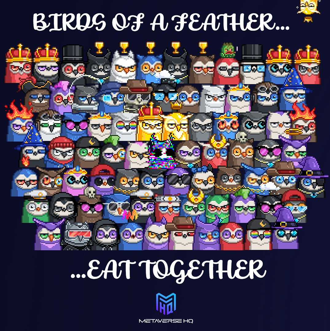 I love watching the <a href="/Metaverse_HQ/">Metaverse HQ</a> fam eat like this...
We love the @moonbirds_xyz !!