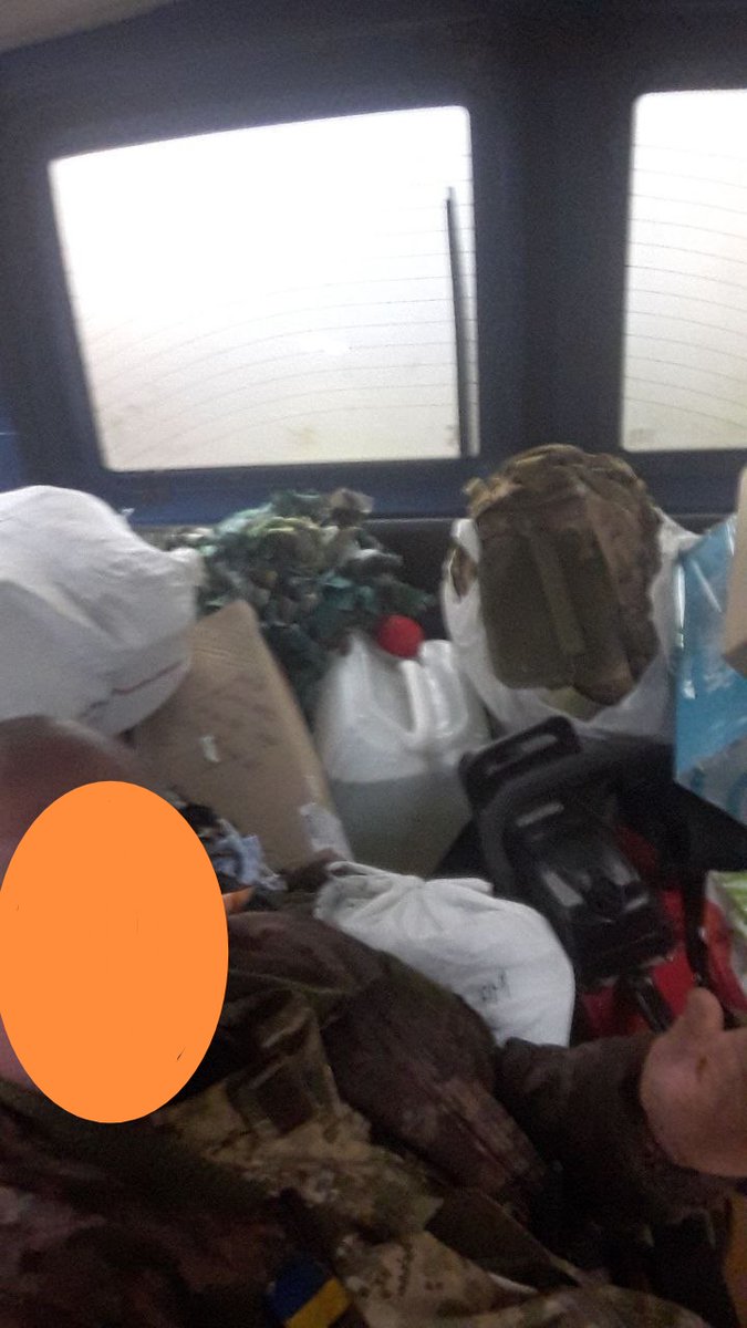 SolHelpUA (Mint #2 is LIVE) tweet media