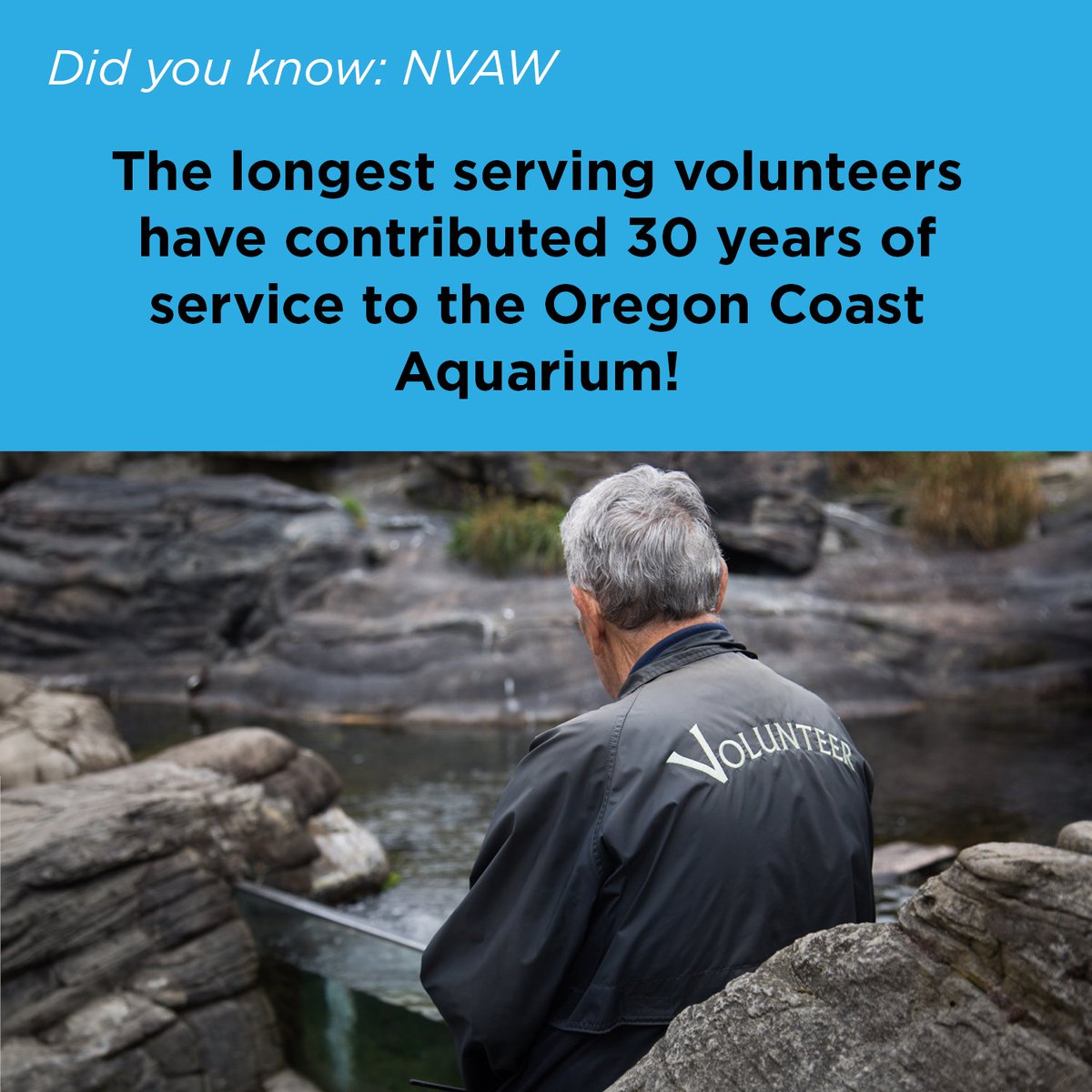 orcoastaquarium's tweet image. Happy #NationalVolunteerAppreciationWeek! #DidYouKnow that our longest serving #volunteers have been with us for 30 years? Thank you for three decades of selfless dedication to our Aquarium, marine life, and ocean. 💙