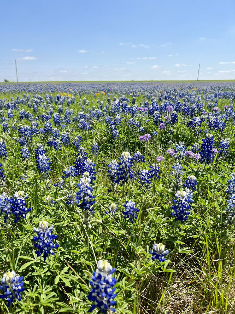 I hope Heaven is a little bit like Texas.