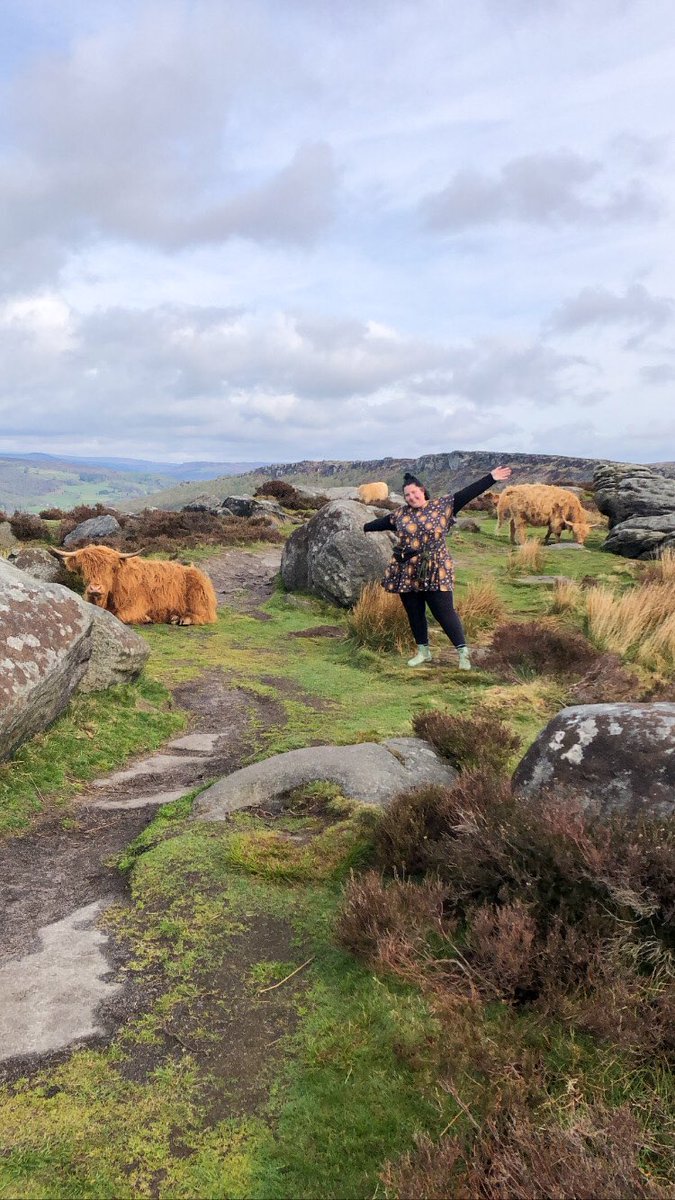 joyharrod's tweet photo. Beautiful 4 mile walk this morning. Well worth the 6:30am start. 
🐮🌲🧡🌸☀️🌳🌻🐾 https://t.co/Ks7xTzKV0W