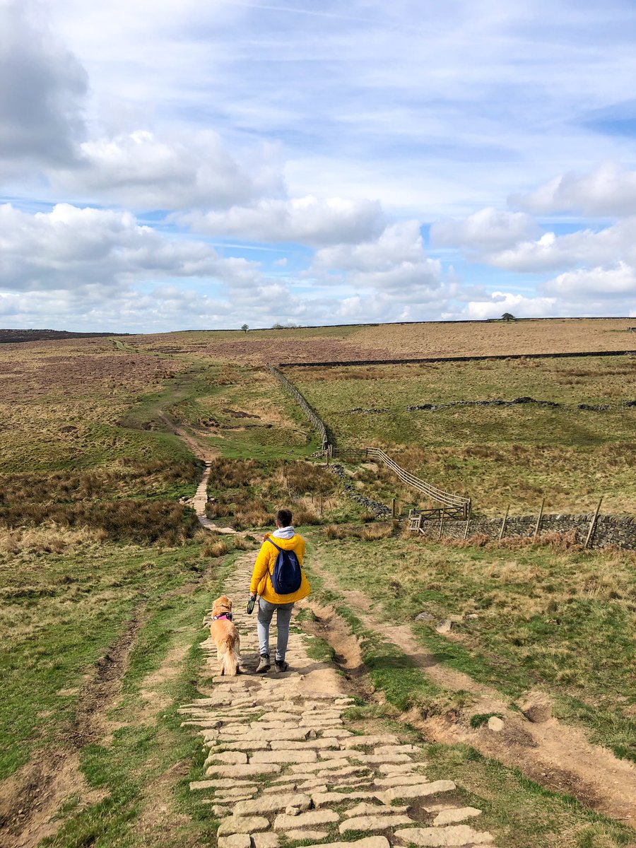 Beautiful 4 mile walk this morning. Well worth the 6:30am start. 
🐮🌲🧡🌸☀️🌳🌻🐾
