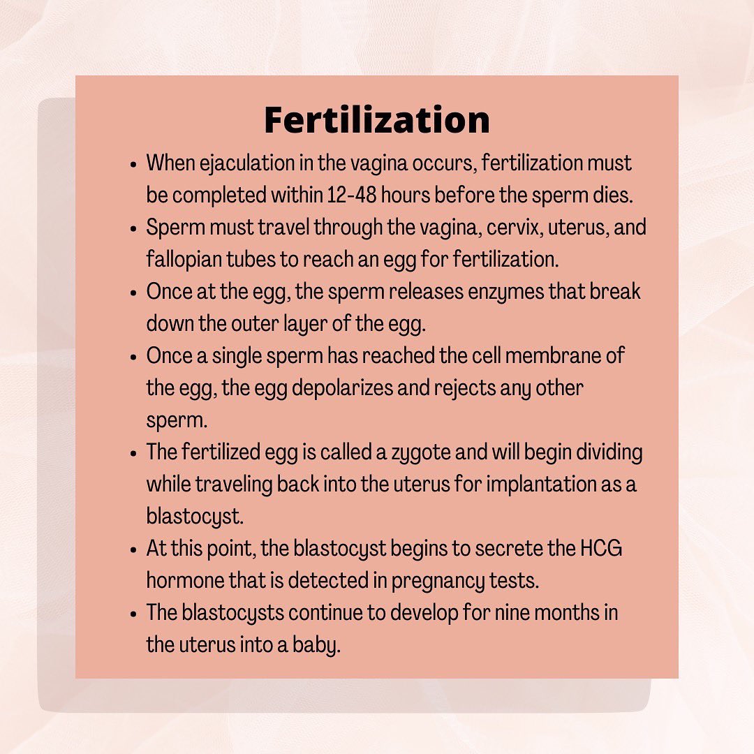 UNTMAPS🧬💉 tweet media