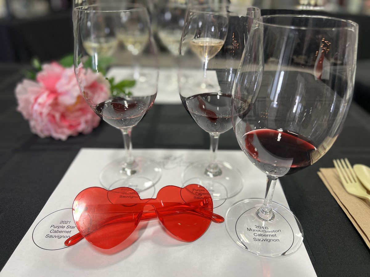 Wine glasses and rose colored glasses with <a href="/PurpleStarWines/">Purple Star</a> #TBEXTriCities