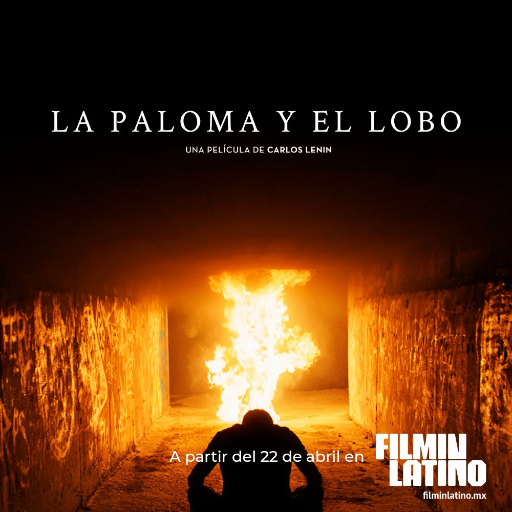 nuestrocinemx's tweet photo. 📢 ¡Este viernes podrás disfrutar de un gran estreno!

🔥🔥‘La paloma y el lobo’🔥🔥

¡Espérala!😏

#EsTuCine | @SomosPiano @AcademiaCineMx @paloma_petra @armandohoficial @carlosleini @Monidelcarmen @FICM @imcine https://t.co/7bN5dvpBpa