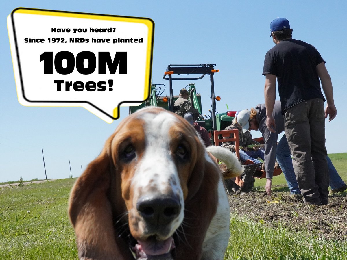 littlebluenrd's tweet photo. It's conservation tree planting time around Nebraska. This year, NRDs are celebrating planting their 100 millionth tree. That's an average of 2 million trees a year #Since1972! #ConservationTrees #50YearsofConservation #100milliontrees https://t.co/Xr7eG1c1L6