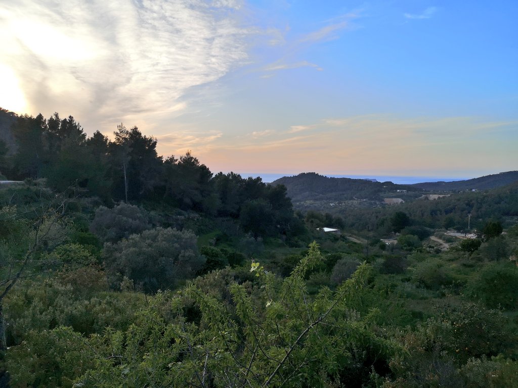 ulivie's tweet photo. "Mirar com cau, quotidià, el crepuscle, cada cop renovant-me el sentiment".
#Villangómez
#Eivissa
#Solpost
#SaTalaia https://t.co/ugfXTNyuJp