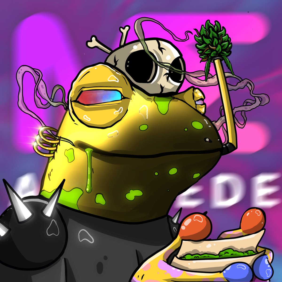 The Stoned Frogs tweet media