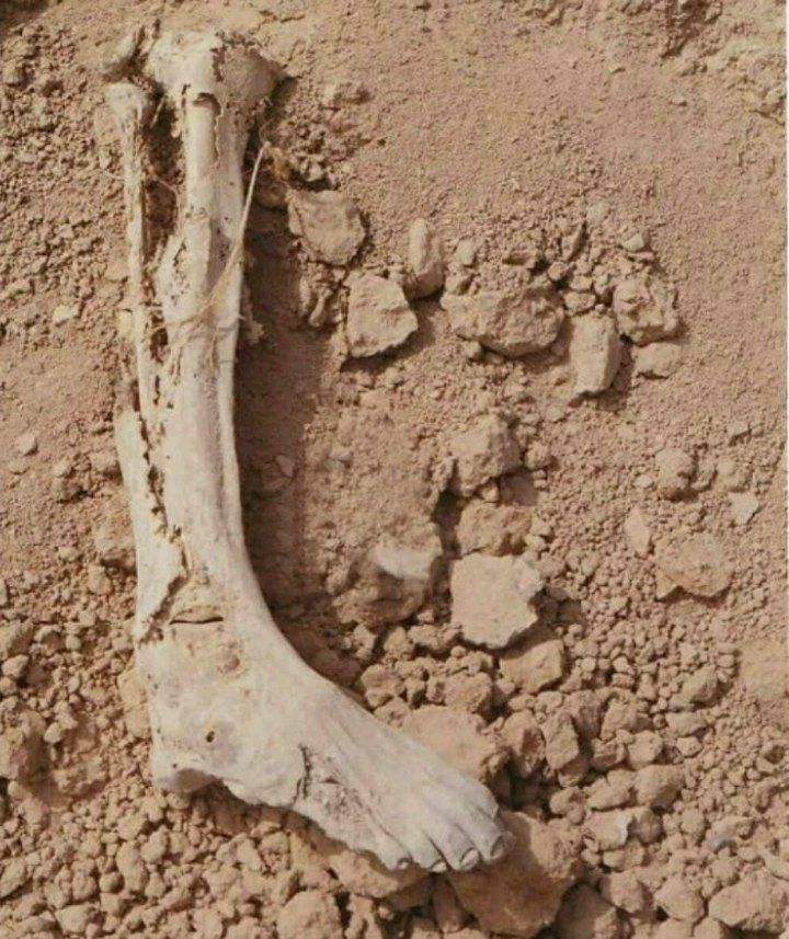 banokashaniii_6's tweet photo. آنها تا آخرین لحظه پای حرف شون ایستادن و رمز پایداری شدن.... https://t.co/ZRcuWYPQEd