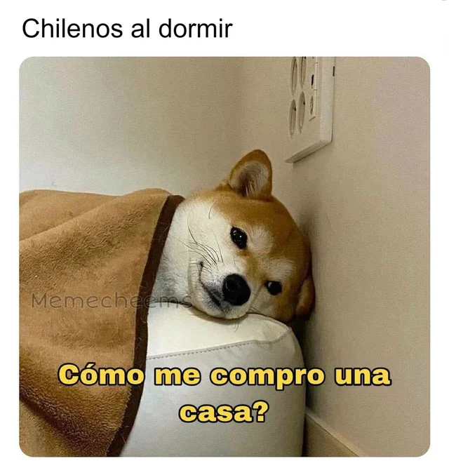 Anarcoqueto's tweet photo. https://t.co/8UOmESfzce