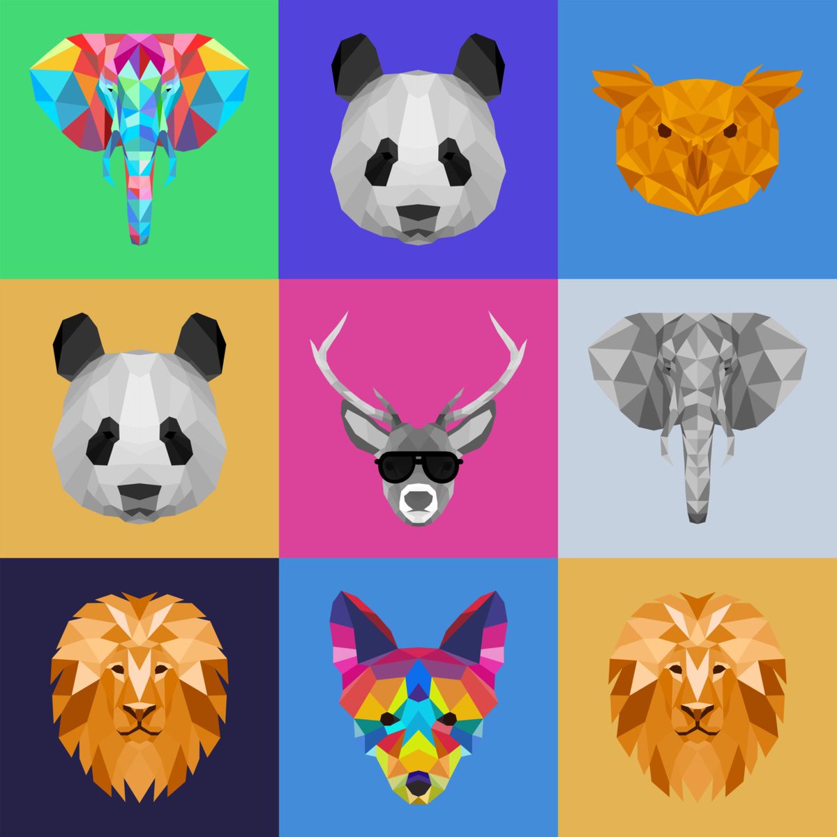 PolygonZoo's tweet photo. @cryptoBILLnfts https://t.co/A3xTPrFw9T