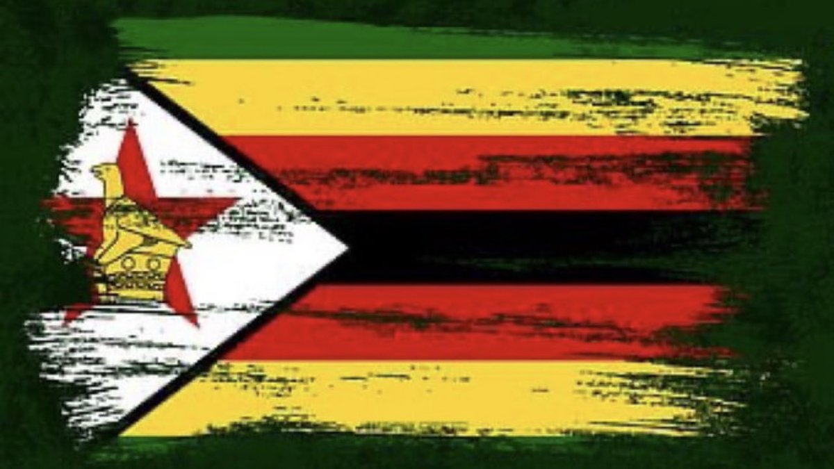 Happy Independence Day #Zimbabwe 🇿🇼 Thank you to all the health care workers, we see you, we appreciate you. @ChrisDzikiti1 @Docbeecee @Dali_Lamah @GraciousMusari2