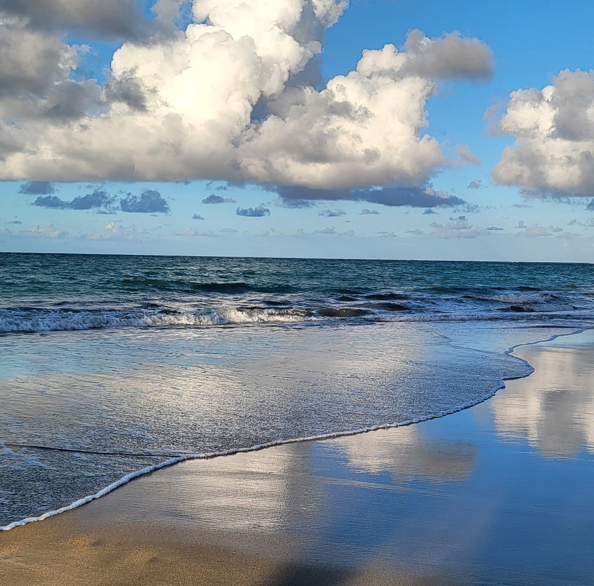 EdiloizaMy's tweet image. 