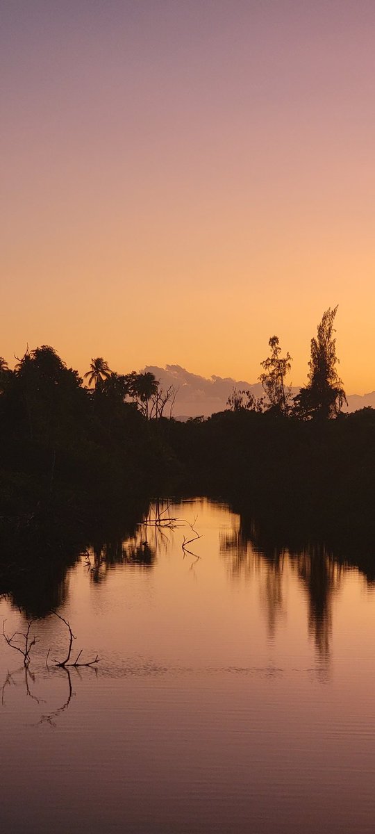 EdiloizaMy's tweet image. "La tarde en mi río...
...mi río en la tarde"
Foto: ediloiza 
Río Herrera Loíza PR