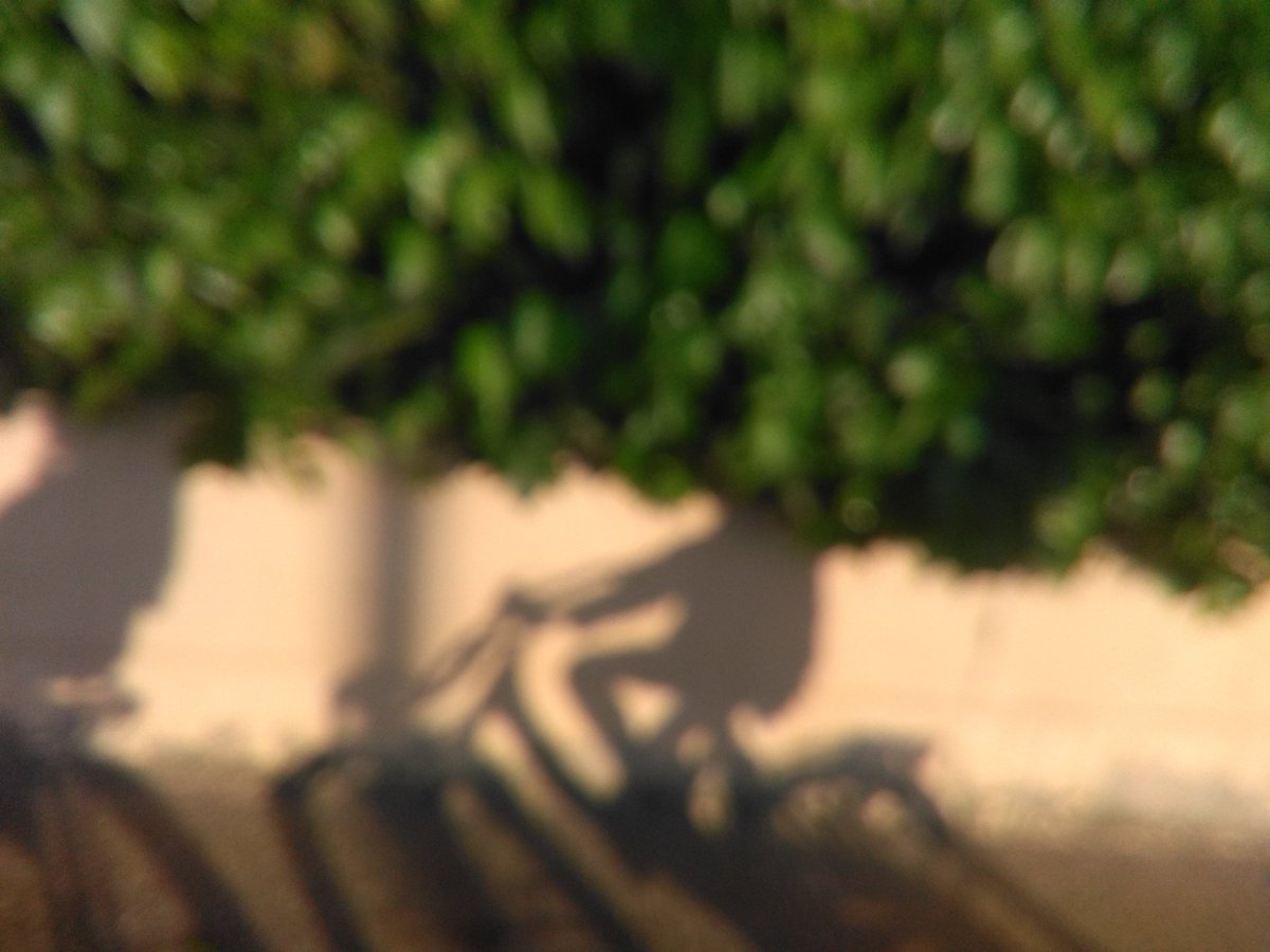 NoemiLRenault's tweet photo. Los festivos también vamos en bici
#30profesenbicilogrono
#30diasenbici https://t.co/qiT1iiTrj1
