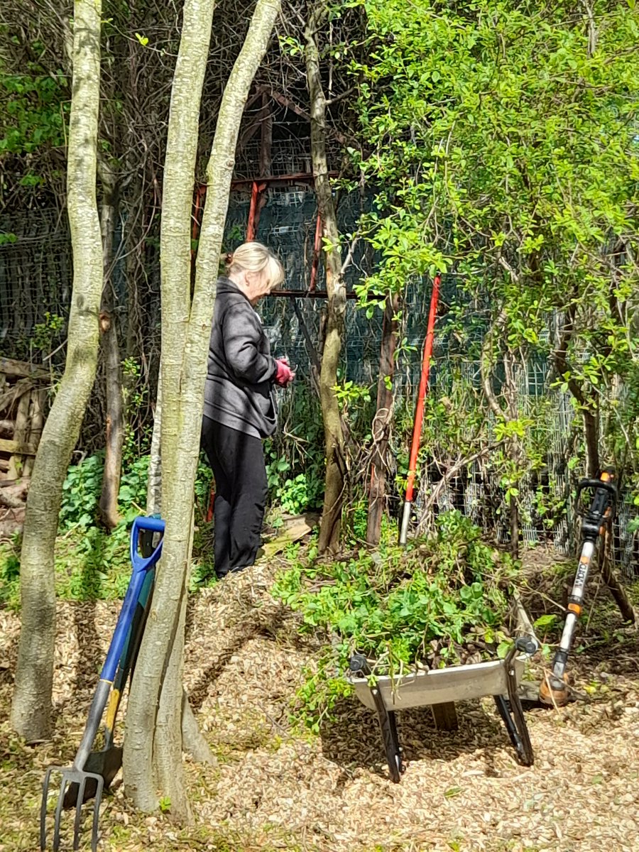 FriendsDrive's tweet image. Ok who fancies Tpee's in our Woodland &amp;amp; Forestry Space?
@StPrescot @smalmarg2012 @Joburkegreengal @TownPrescot