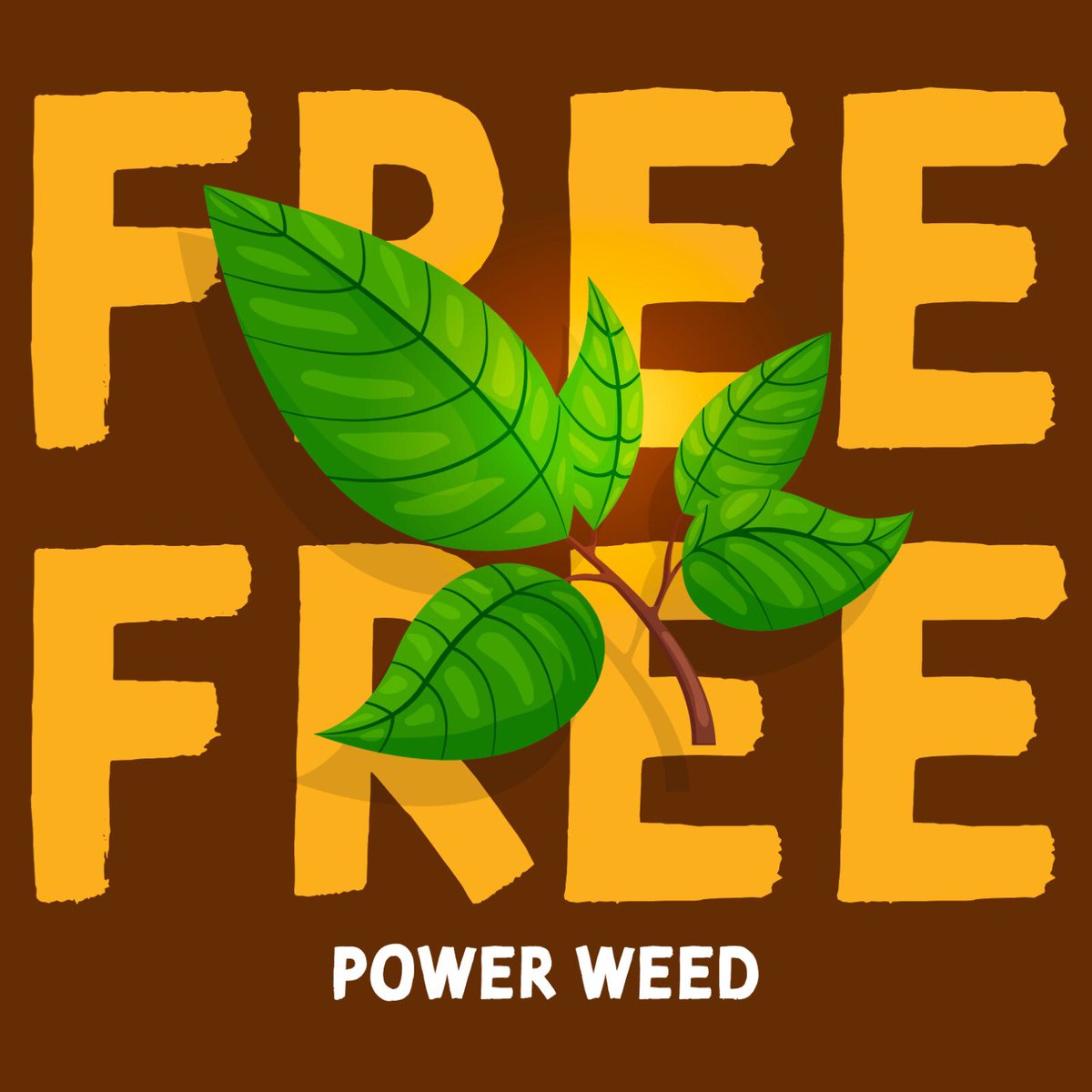 🎮🐑Wool of Wall Street 🧶🏤 tweet media