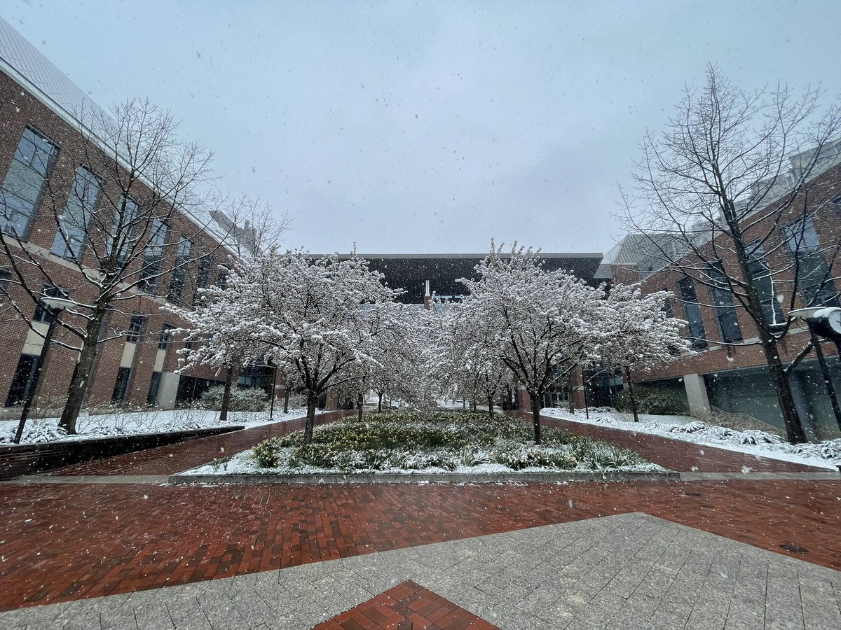 carolinecastora's tweet photo. Some “swinter” weather pictures taken by @zachtrdinich on campus today! https://t.co/RIfwnDfaPd