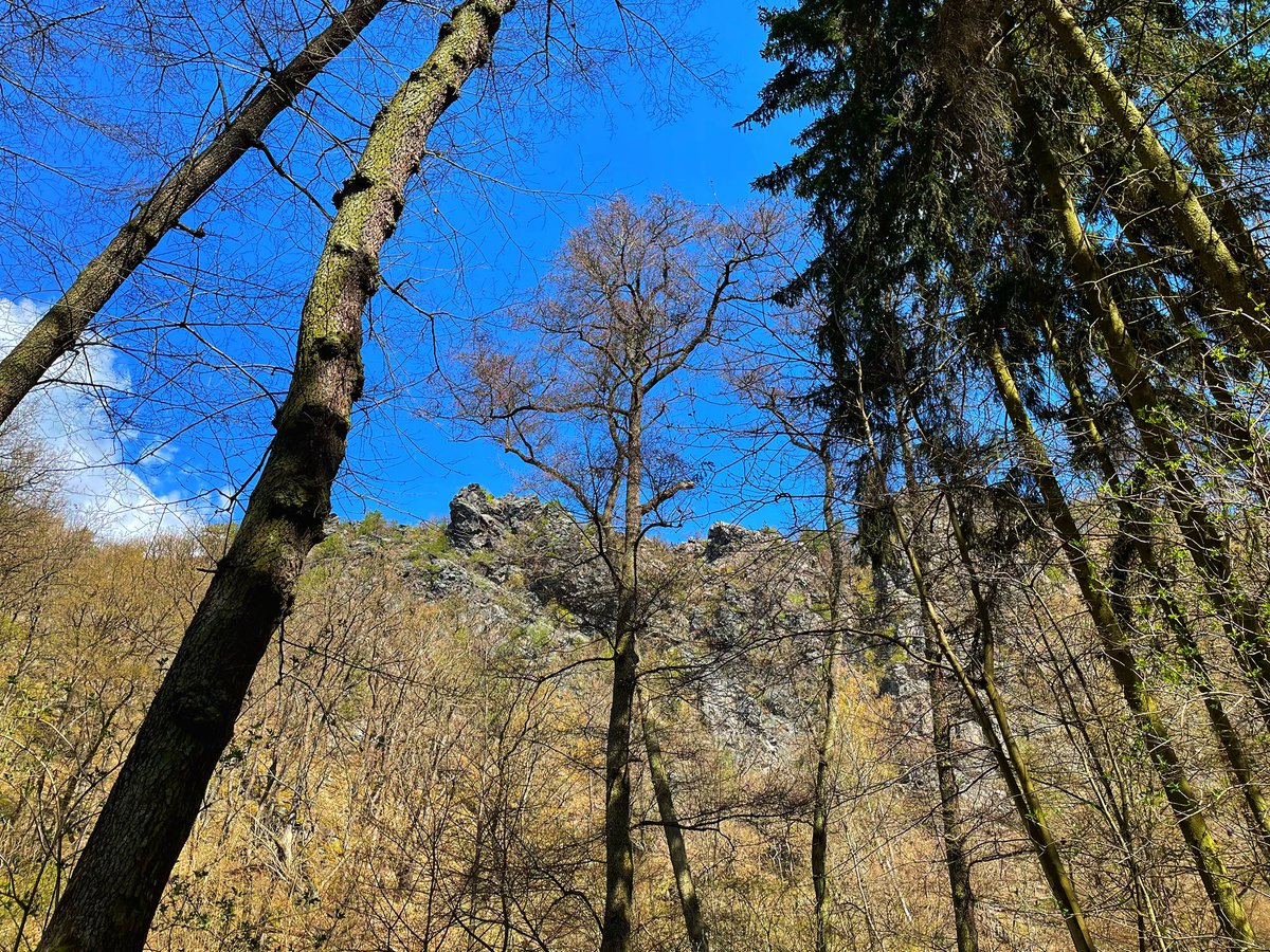 KnihyProDeti's tweet photo. Divoká Šárka. Velký okruh. Sluníčko. Málo lidí. Co víc 🤷♀️? #divokasarka #sun #bezlidi #withoutpeople #nature #priroda #mundomendozova https://t.co/atfiauF5Kh