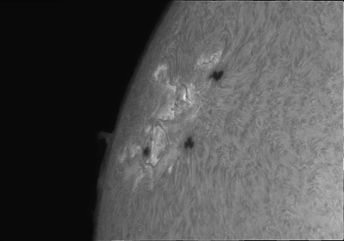 Josep_Trigo's tweet photo. THE GIANT SOLAR PROTUBERANCE imaged last Aug. 3th by Albert Sànchez from #GualbaObservatory #Catalonia #MPC442 using a ED Vixen 114/f27 refractor plus H alpha filter of 0.5 A and a ASI 183 mm camera #SolarActivity #spaceweather https://t.co/MWhkURQqfT https://t.co/P41i0iTNvC