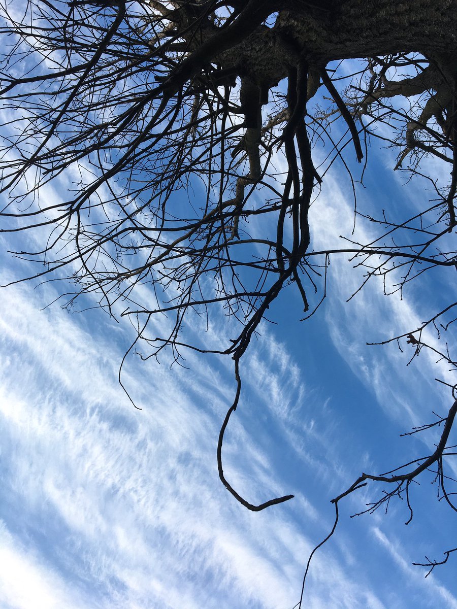 Yuggi12's tweet photo. Sky for Namjoon☺️
#SkyForNamjoon https://t.co/i66lSK6hpF