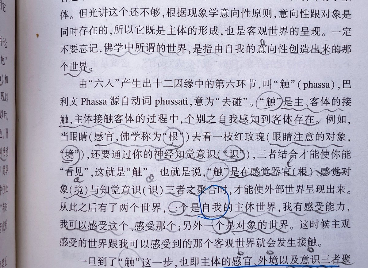 喵喵子 tweet media