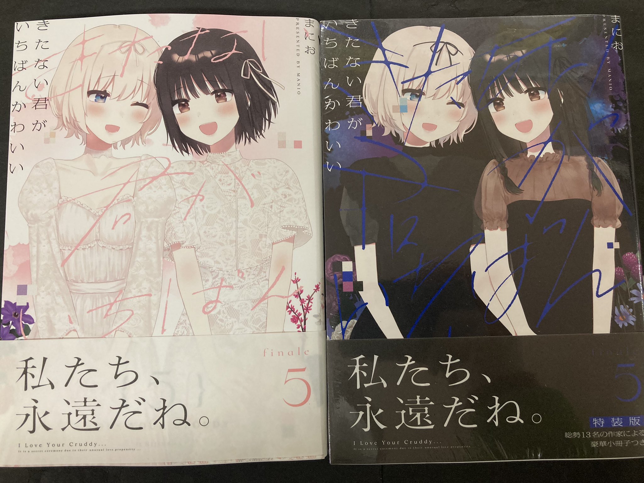 Amazon.co.jp: 「きれいな君もいちばんかわいい」きたない君が