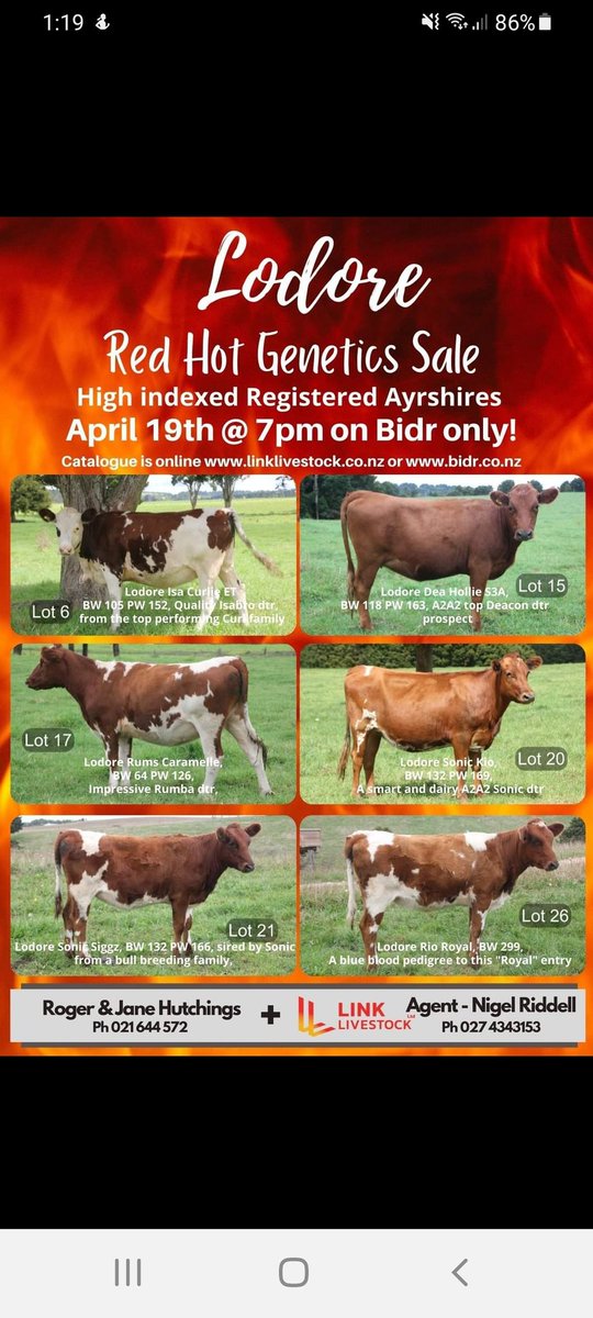 Jane Hutchings tweet media