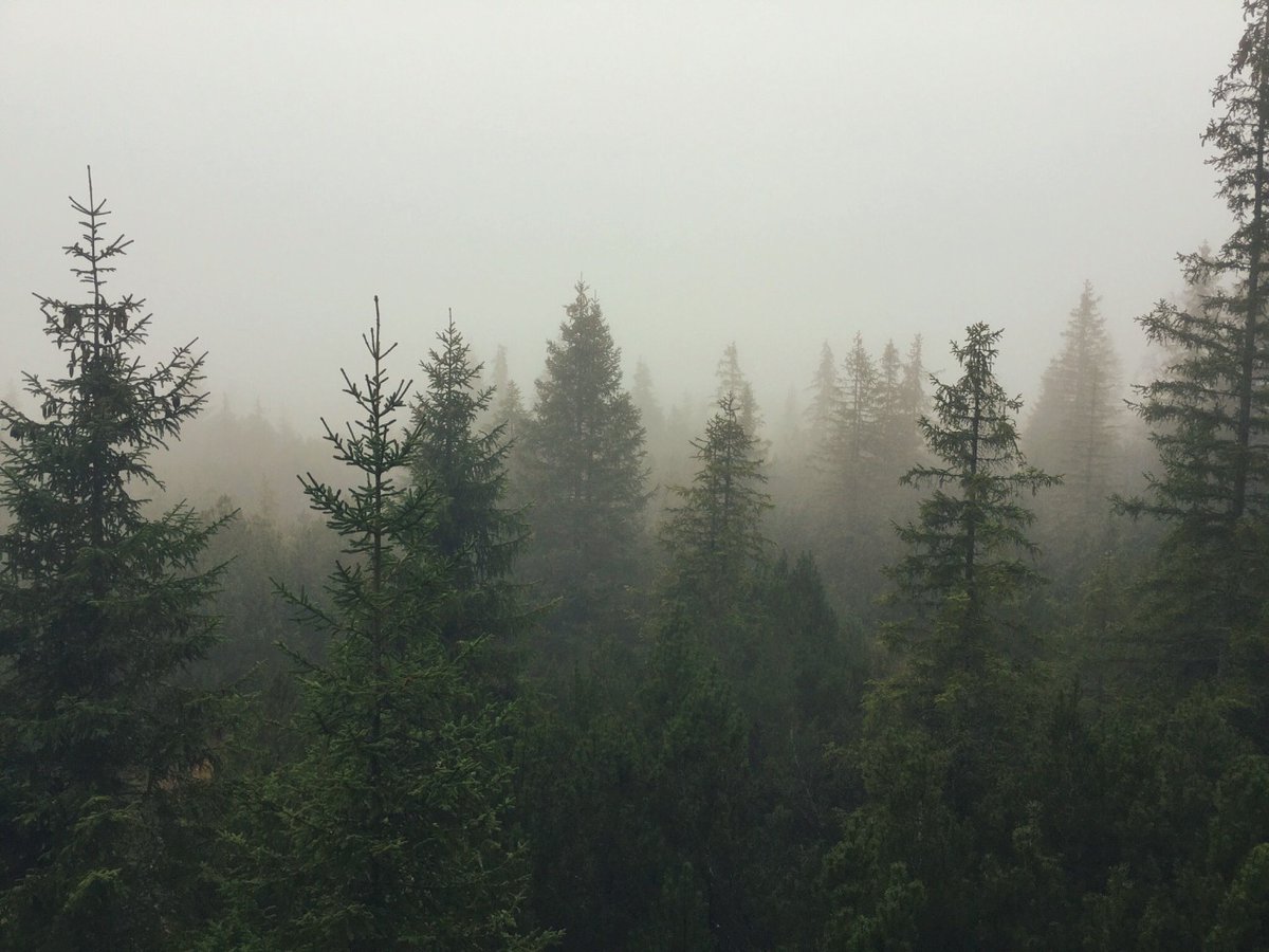 archillect's tweet image. 