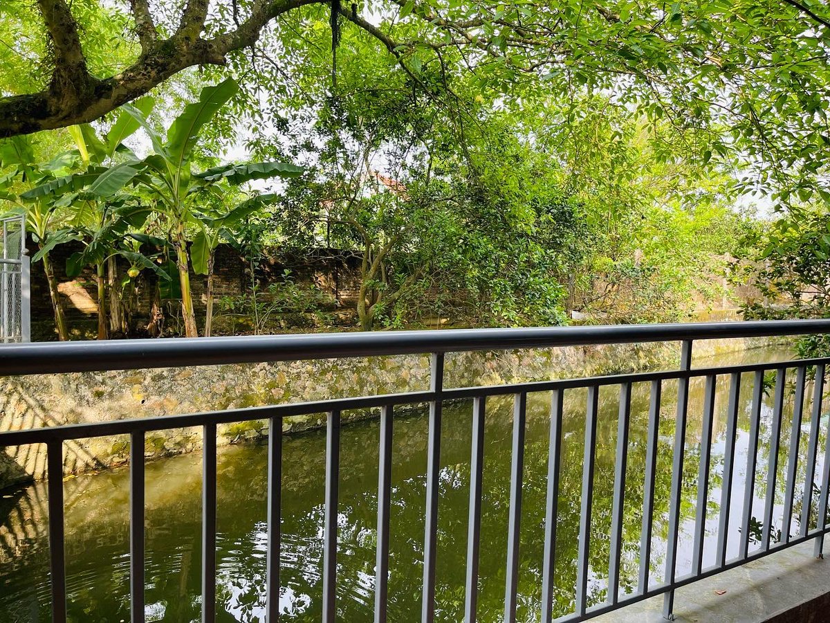 ToOanh11's tweet photo. There is no need to drive anywhere, simply take a walk and explore natural wilderness at your own pace. 

No traffic jam, no crowd, just you and nature ☘️

#healinggarden #farmstay #vietnam #beauty #photography #organic #comingsoon https://t.co/Wgs9Ohb21R