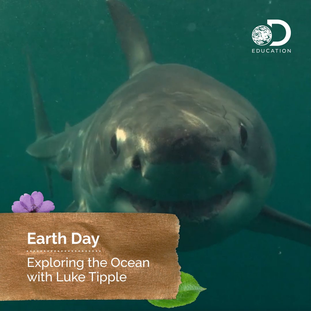 Discovery Education tweet media