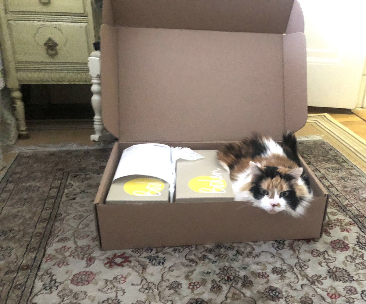 I ordered two pair of shoes and received a free cat!