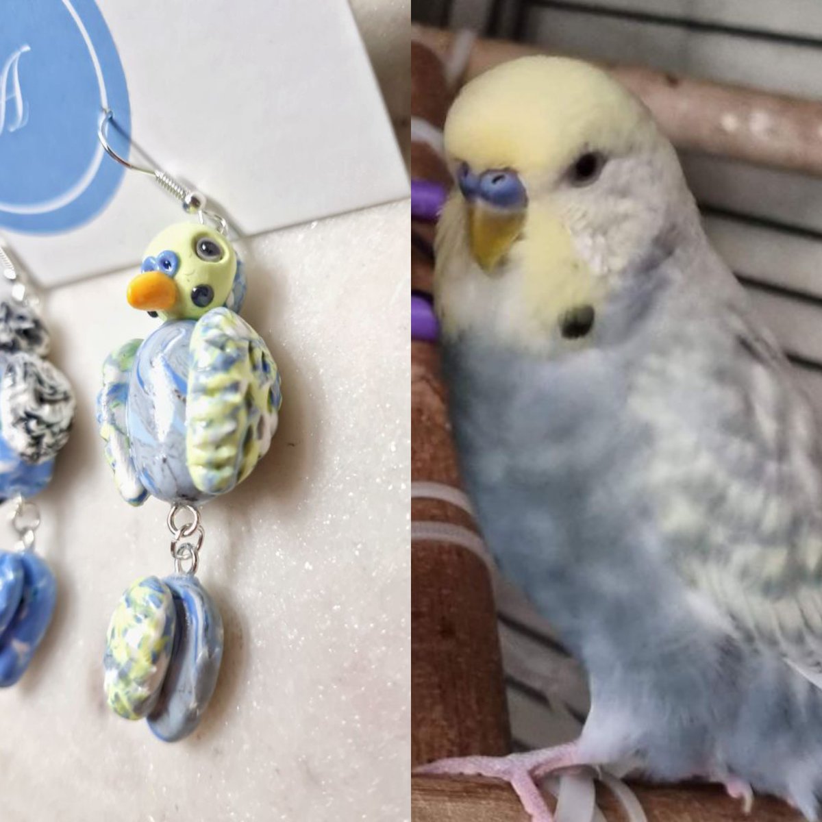 Another custom set of earrings, this time they are an adorable pair of budgies 🥰 

 #polymerclayearrings #polymerclaycreations #handmadebrisbane #brisbanehandmade #brisbanesmallbusiness #smallbusiness #polymerclay #budgiesofinstagram #budgiesbirds