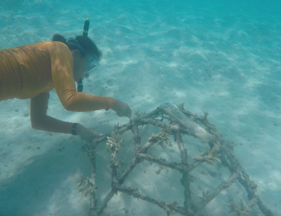 Olivia Isbell tweet media