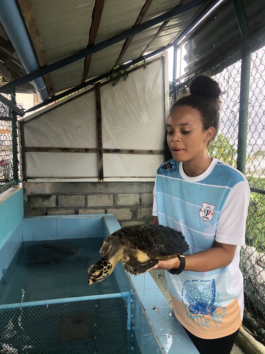 Olivia Isbell tweet media