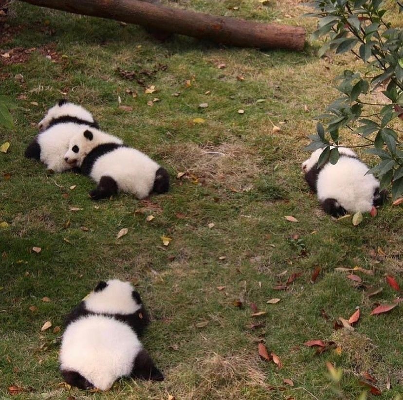 Monday snuggles 🤗