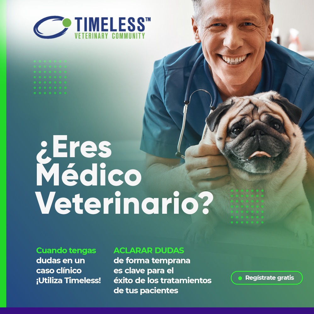 TimelessVetES's tweet photo. #MédicoVeterinario ¿Tienes dudas sobre el diagnóstico de un paciente?... ¡A TODO profesional de la salud animal le ocurre!
🔸 Le sucede incluso a los médicos más experimentados, y reconocerlo habla de la ética profesional del veterinario.

Regístrate en https://t.co/JsUndpSkXU https://t.co/1OocJZU9R1